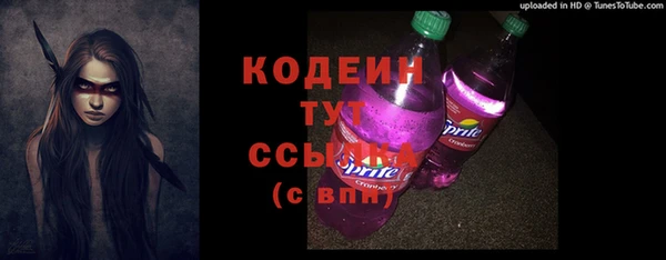 крисы Абаза