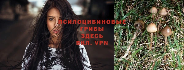 СК Алексеевка