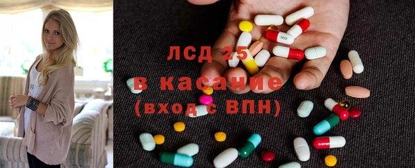 крисы Абаза