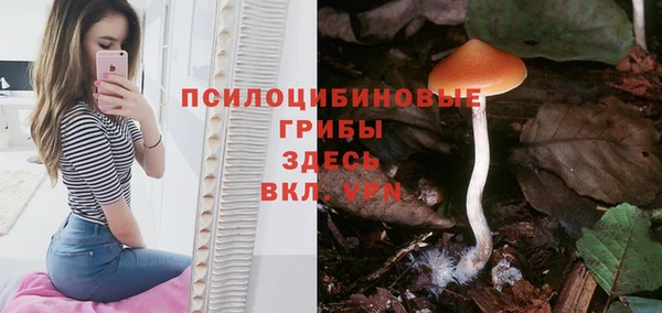 не бодяженный Абинск