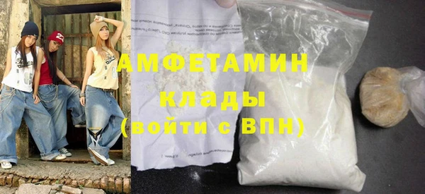 крисы Абаза