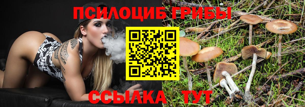 Галлюциногенные грибы мухоморы  Вход с VPN  Звенигород  Галлюциногенные грибы прущие грибы 