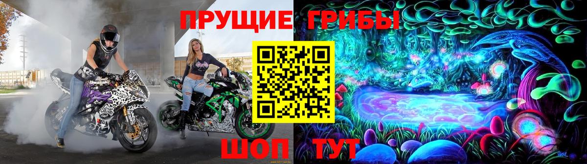 Галлюциногенные грибы прущие грибы Звенигород